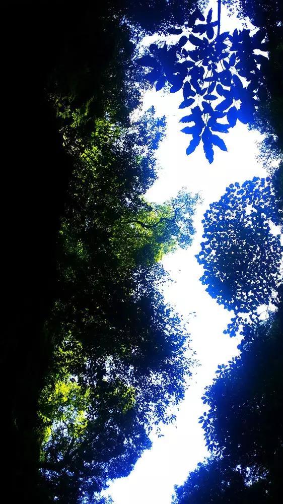 探索马天宇自爆要退出娱乐圈,据说与他的成长经历有关,马天宇遭遇了什么?,加入知识星球平台